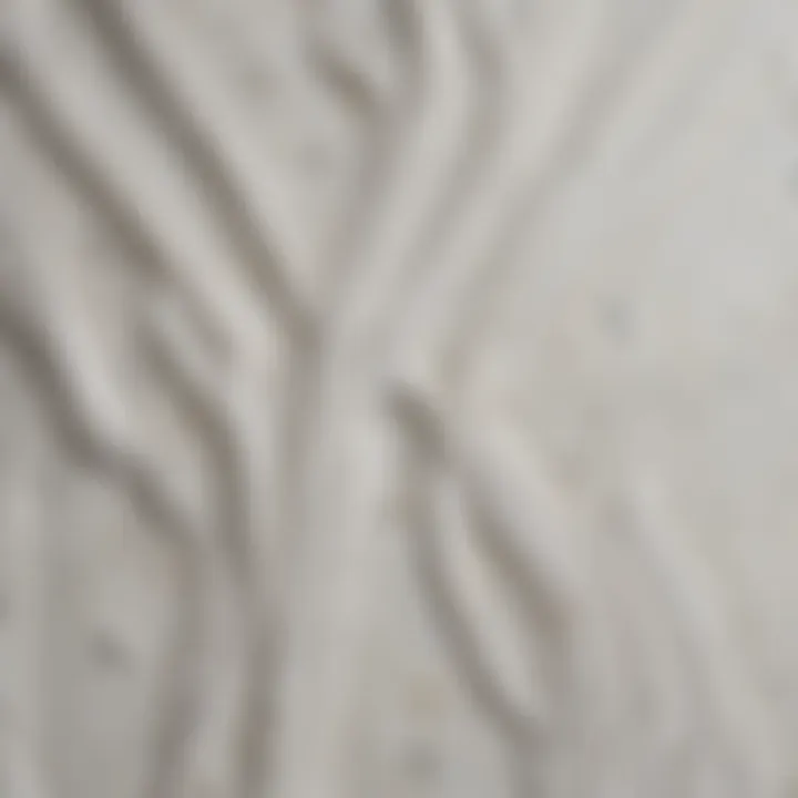 Close-up of Valspar white fence paint texture