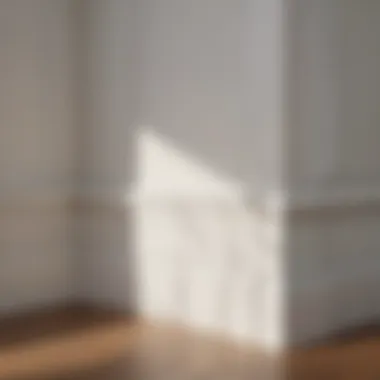 Valspar White Paint Trim Aesthetic Enhancements Valspar White Paint Trim Aesthetic Enhancements