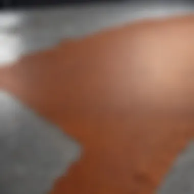 Diverse Applications of Rust-Oleum Coatings Variety of Rust-Oleum Anti-Skid Coating Applications