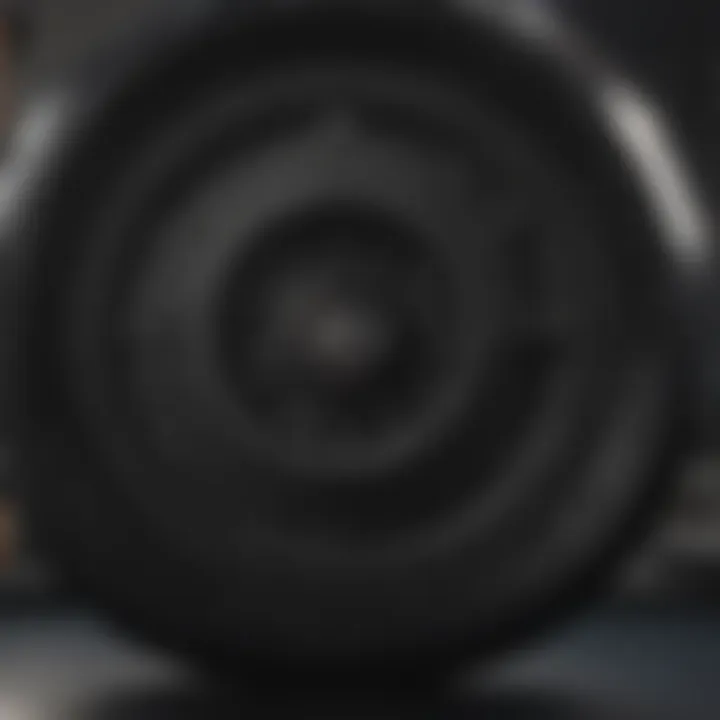 Advantages of heavy mil black plastic in various sectors