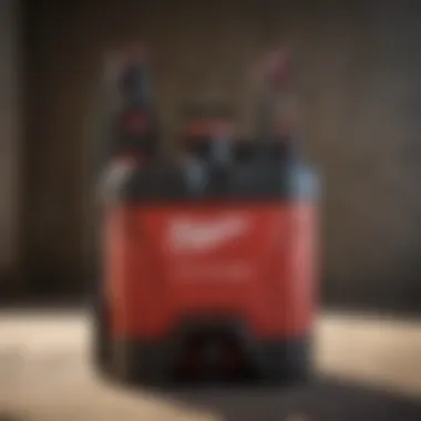 Versatile Applications of the Milwaukee 18V Backpack Sprayer Versatile Milwaukee 18V Backpack Sprayer Applications