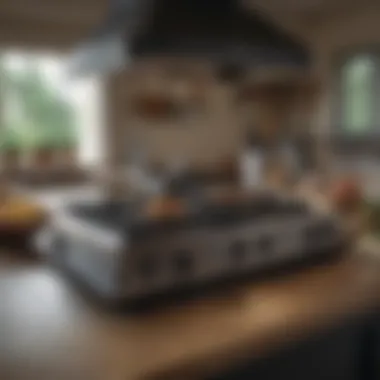 Cooking Versatility Versatile cooking options with Blackstone Range Top Combo 28