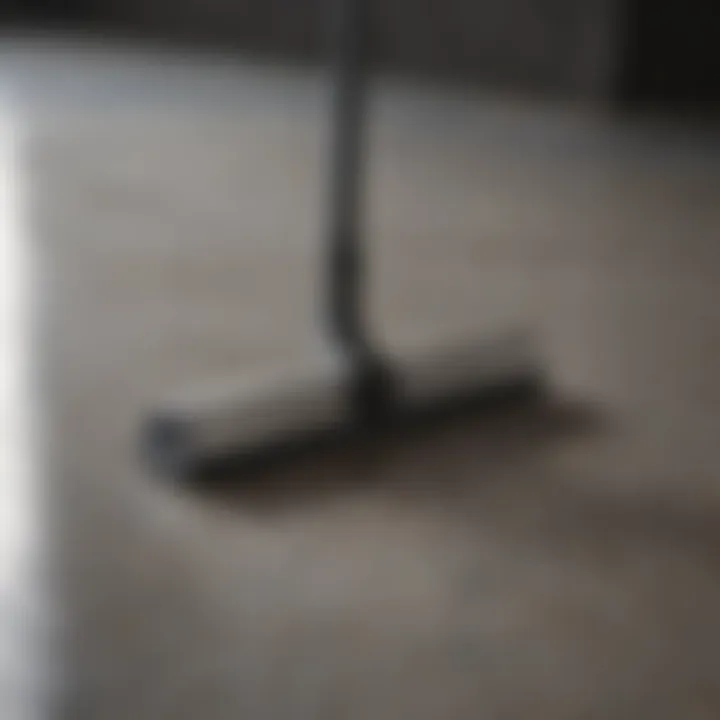 Versatile curved squeegee for different floor types