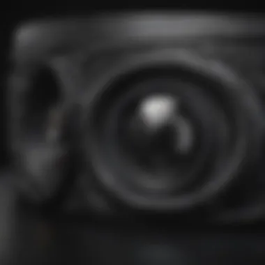 Sustainable Solution: Heavy Mil Black Plastic Eco-friendly heavy mil black plastic material