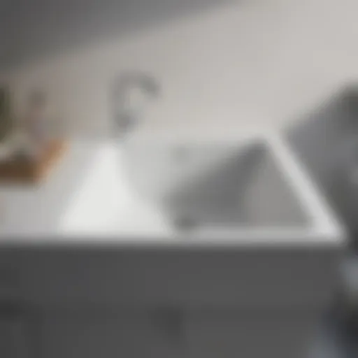 Sleek and Minimalistic Laundry Tub Sink A modern laundry tub sink with sleek lines and minimalist design