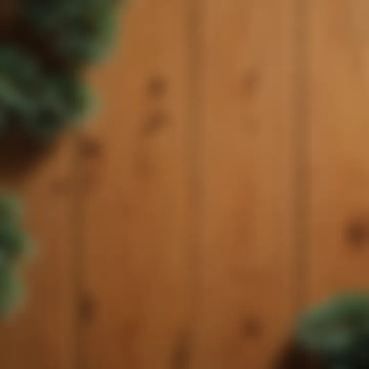 Rustic Pine Board Wall Art