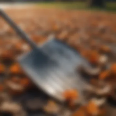 Close-up of a leaf rake collecting fallen leaves in a backyard