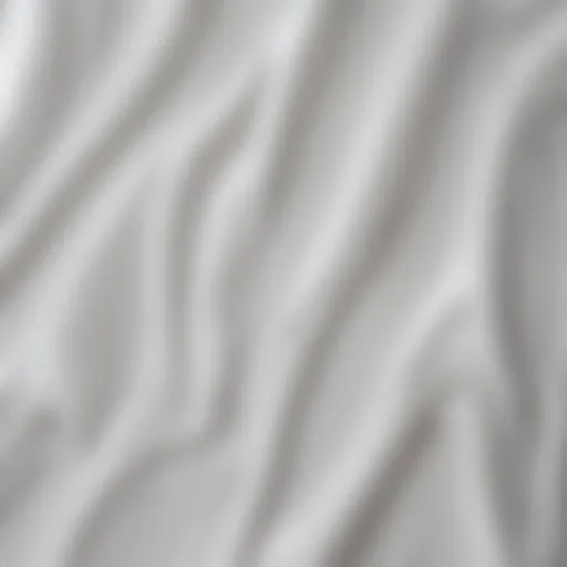 Abstract Expression in White Gloss Abstract shapes created with white glossy spray paint