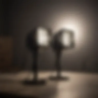 Versatile Lighting Solution Versatility of Twin Head LED Flood Light