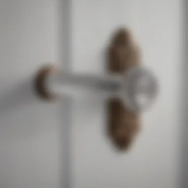 Vintage Glass Door Handle