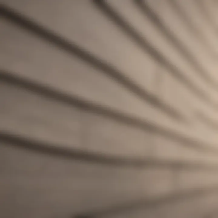 Close-up view of high-quality vinyl siding fascia demonstrating its texture and finish.