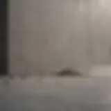 Innovative construction material