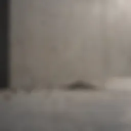 Innovative construction material