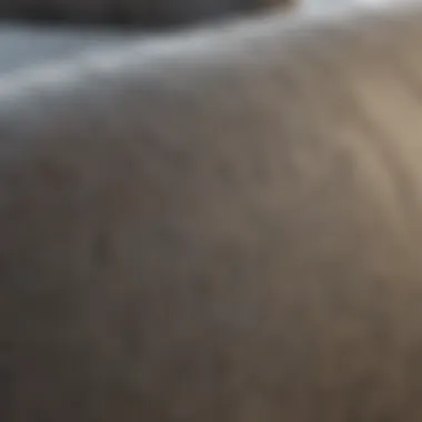Close-up of a treated couch fabric