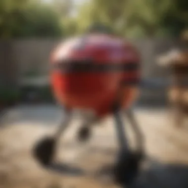 Weber BBQ for Events