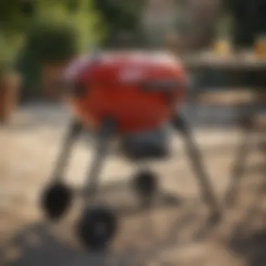 Weber Compact BBQ Model