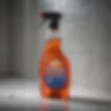 Wet n Forget Shower Cleaner Bottle