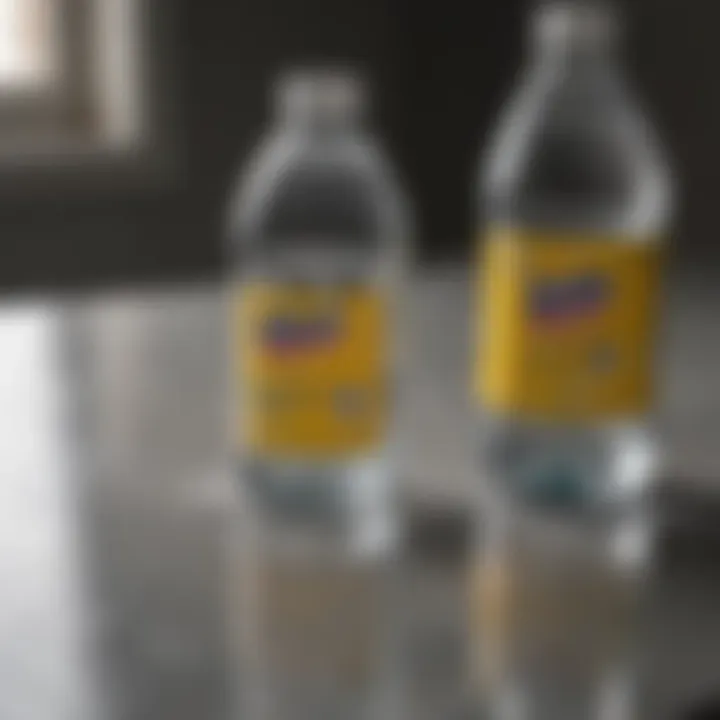 Practical Application of Windex with Vinegar Close-up of Windex with Vinegar being used on glass surface