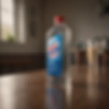Flawless Finish Achieved with Windex and Vinegar Person showcasing the streak-free results of Windex with Vinegar