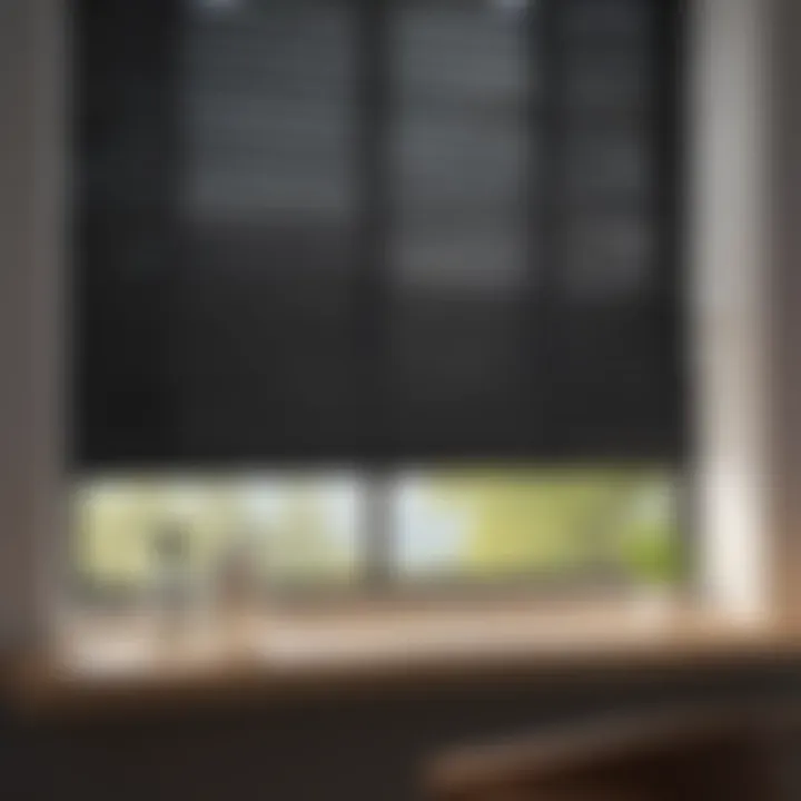 Sleek Minimalist 26-Inch Window Blinds in Contemporary Black