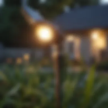 Close-up of a yard torch emitting light